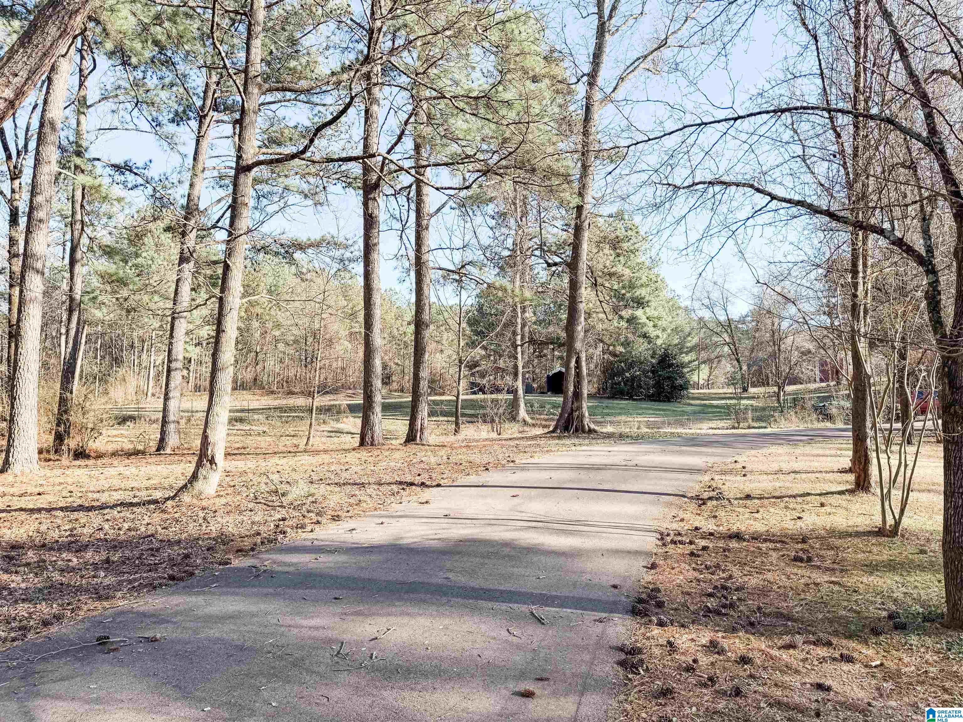 1978 Warrior Jasper Road Warrior, AL 35180 - Photo 22 of 99