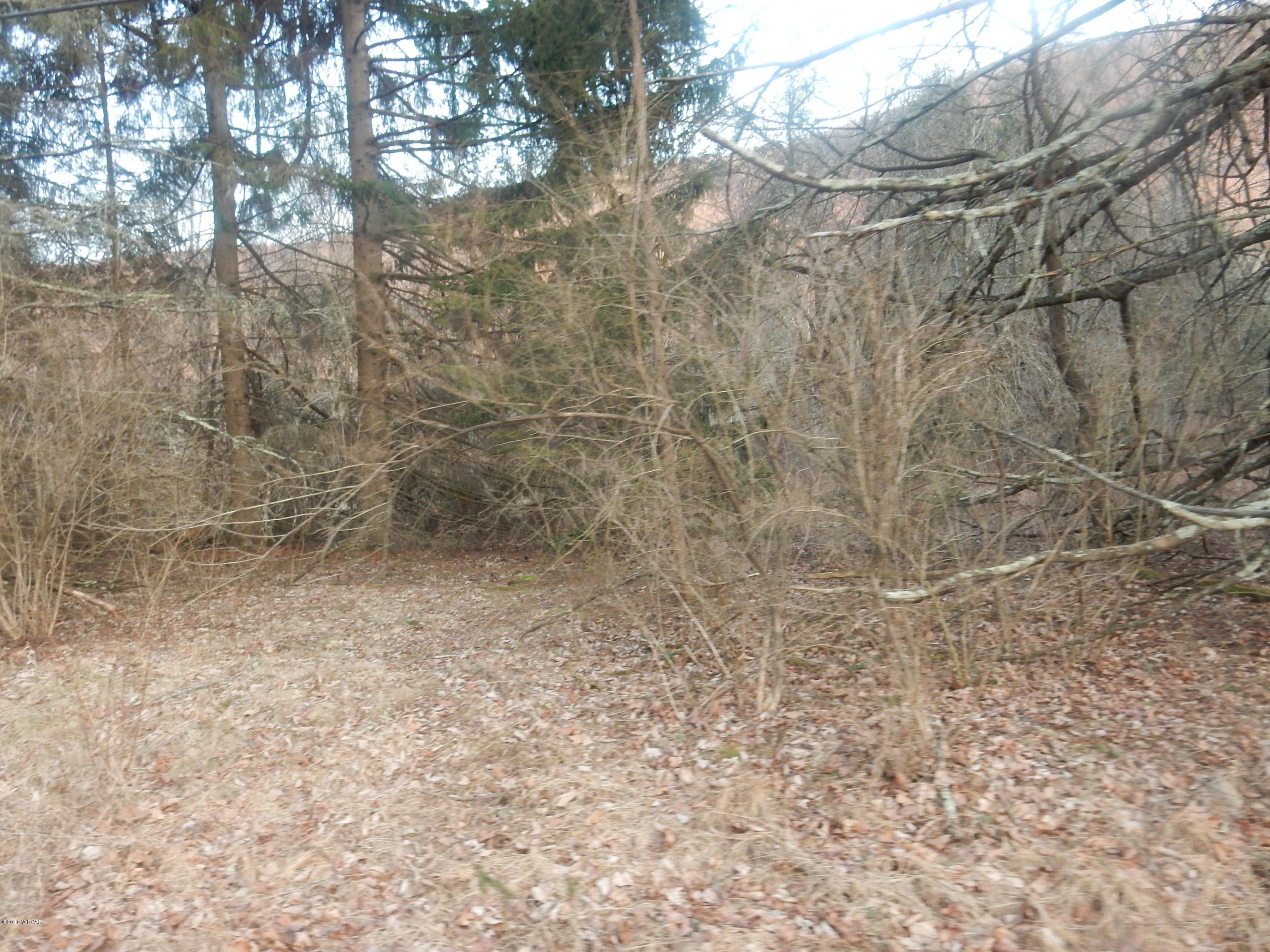 0 Jamison City Road Benton, PA 17814 - Photo 1 of 5 Peterman 2