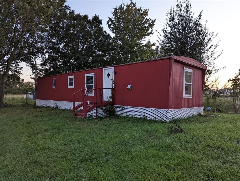 a view of a backyard with potted plants and large trees