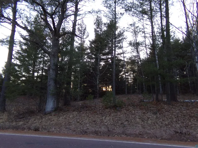 $43,000 | Tbd South County Rd F, Lake Nebagamon, WI 54849