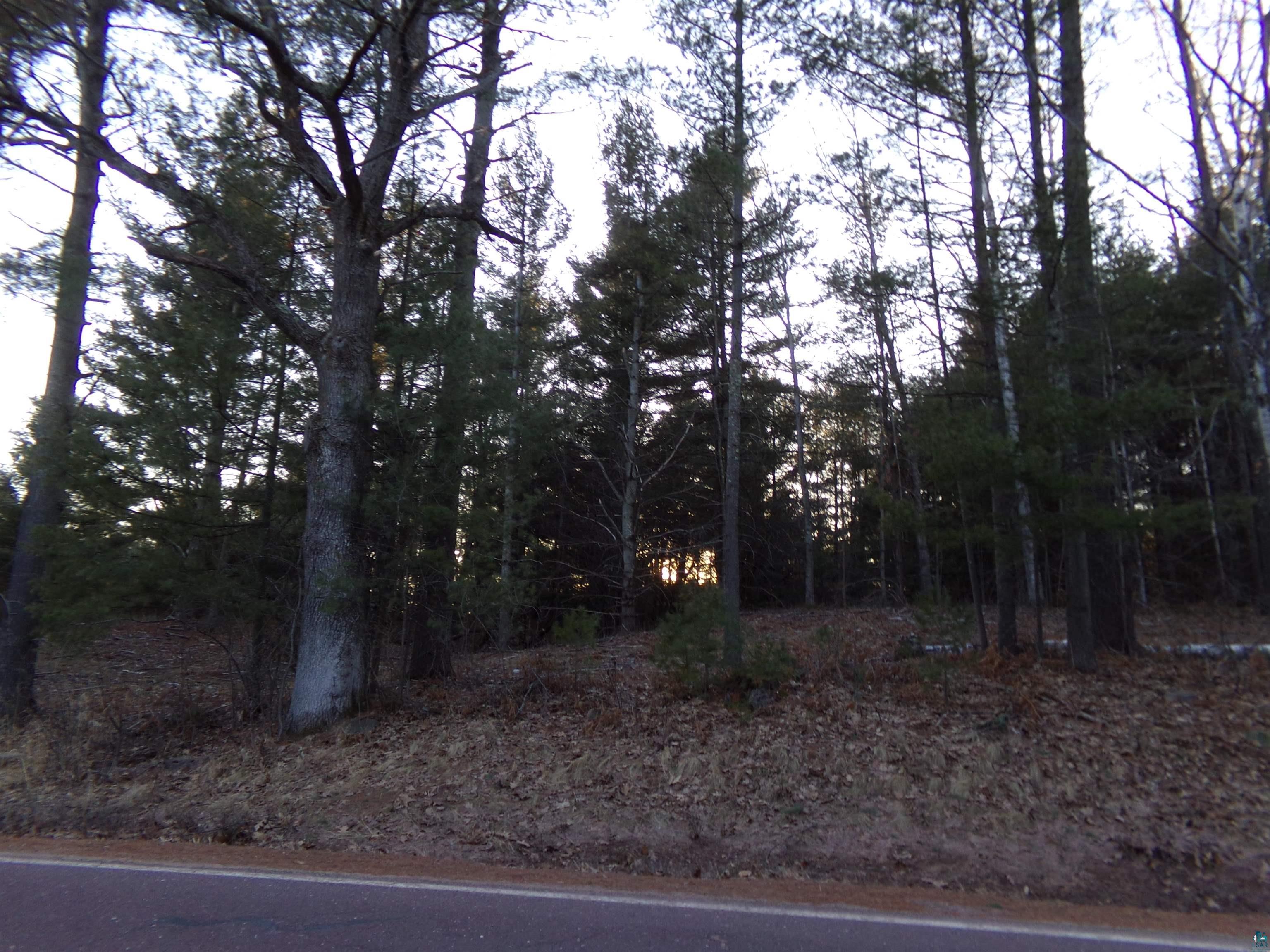 View of local wilderness