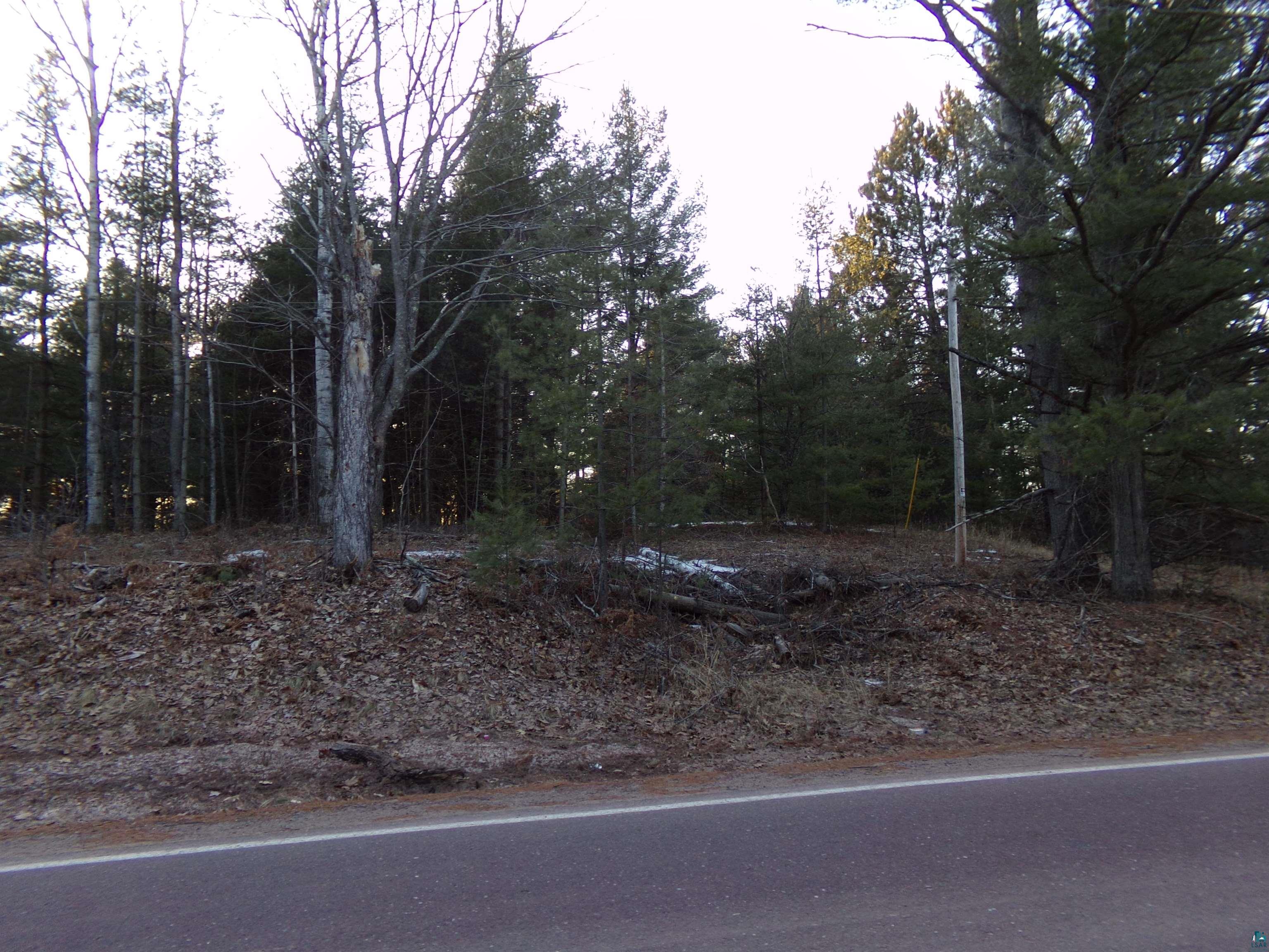 Tbd South County Rd F Lake Nebagamon, WI 54849 - Photo 2 of 8 View of street