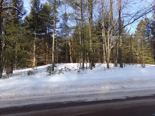 $43,000 | Tbd South County Rd F, Lake Nebagamon, WI 54849