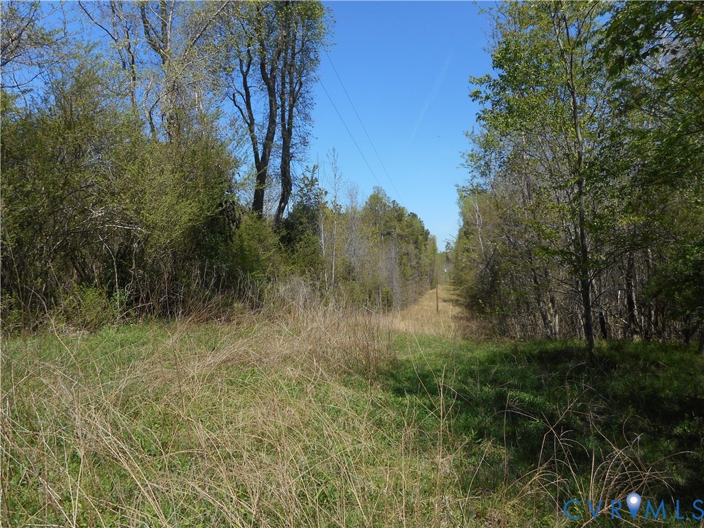 6016 Grubby Road Wilsons, VA 23894 - Photo 2 of 3