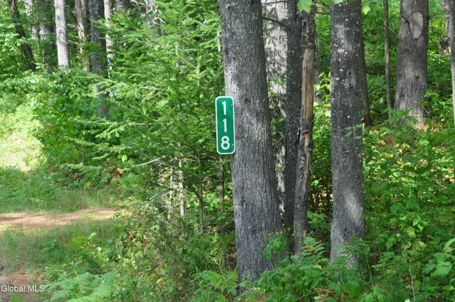 $214,900 | 118 Federal Flats Road, Minerva, NY 12857