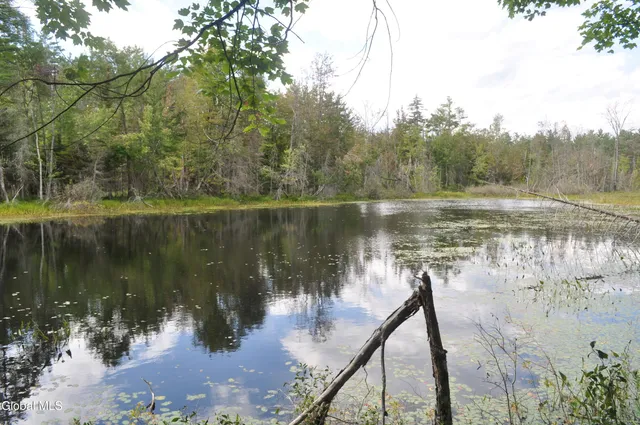 $214,900 | 118 Federal Flats Road, Minerva, NY 12857