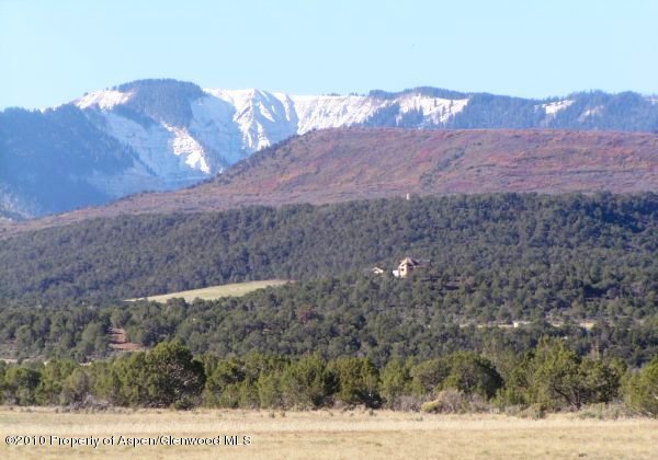 694 Cedar Springs Ranch Road Rifle, CO 81650 - Photo 2 of 9 Home