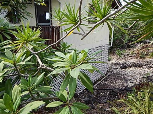 87-3179 Boki Road Captain Cook, HI 96704 - Photo 3 of 7 Gallery Image 3