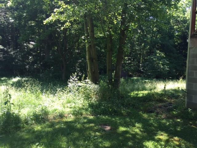 182 Lee-Valley Road Derry, PA 15627 - Photo 4 of 5 Gallery Image 4