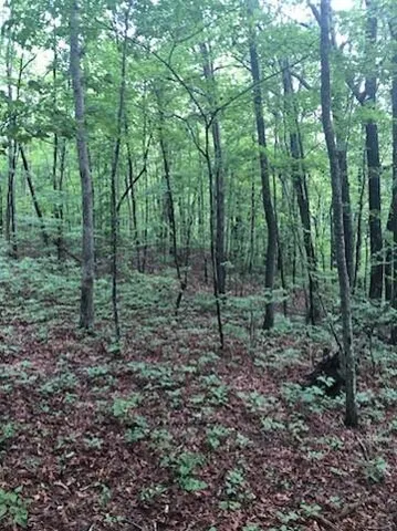 $224,000 | 2818 Wilson Avenue, Signal Mountain, TN 37377