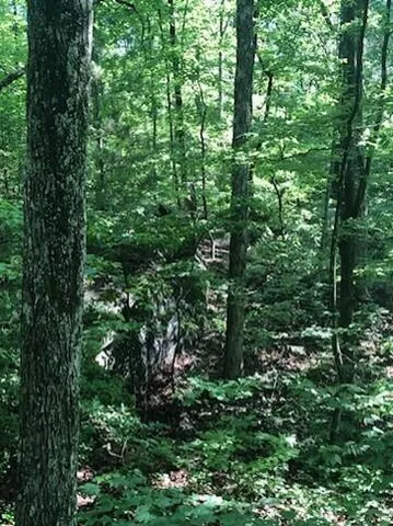 $224,000 | 2818 Wilson Avenue, Signal Mountain, TN 37377