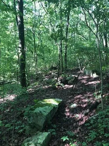 $224,000 | 2818 Wilson Avenue, Signal Mountain, TN 37377