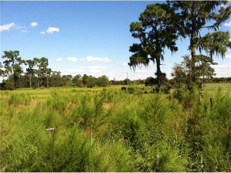 Lake Buffum Road East Fort Meade, FL 33841 - Photo 1 of 1