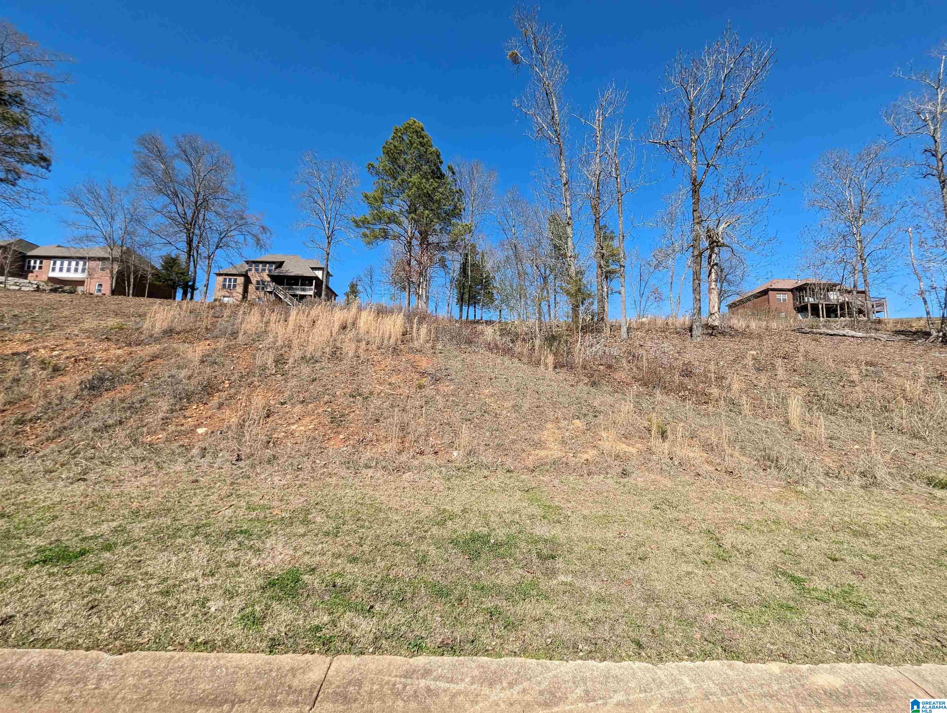 0 Overlook Ridge Lincoln, AL 35096 - Photo 23 of 33