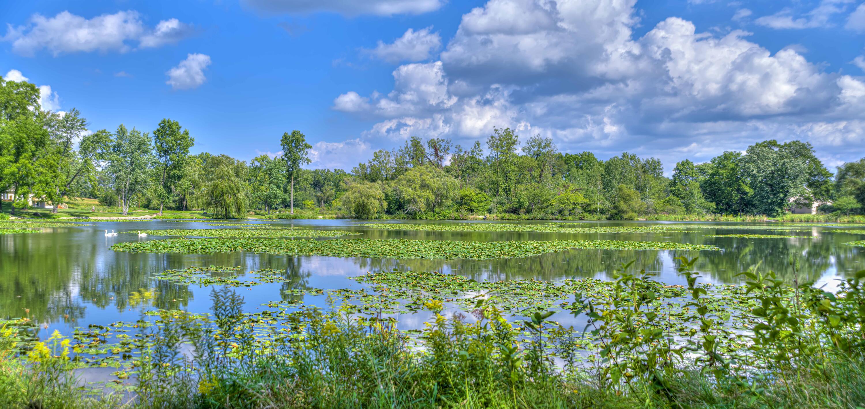 2460 West Kimmel Road Jackson, MI 49201 - Photo 5 of 22 2460 W Kimmel Rd 19