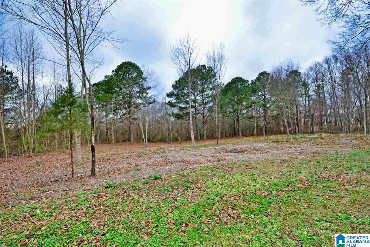 853 Pine Ridge Road Union Grove, AL 35175 - Photo 15 of 28