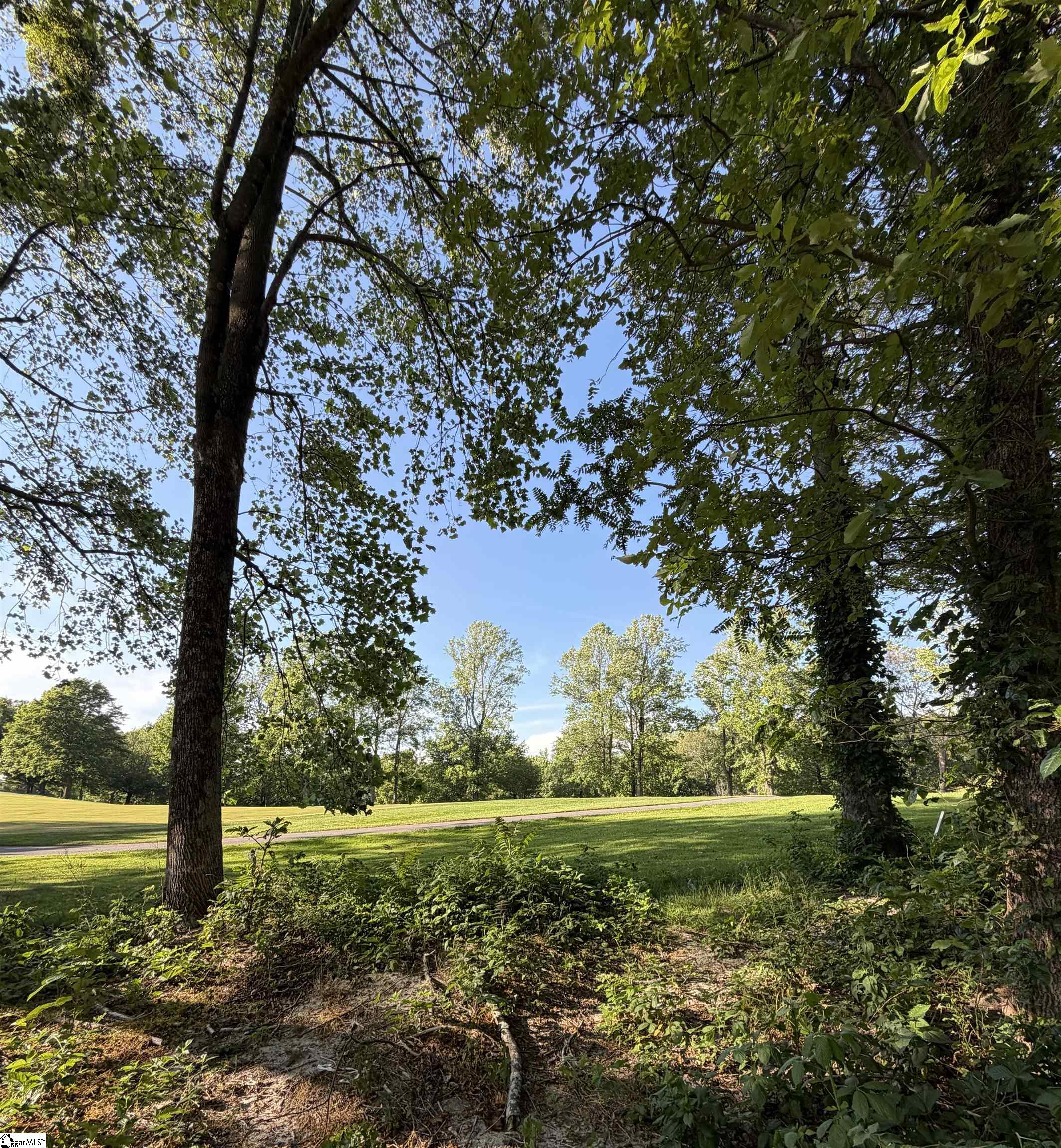 103 May Apple Way Landrum, SC 29356 - Photo 3 of 12