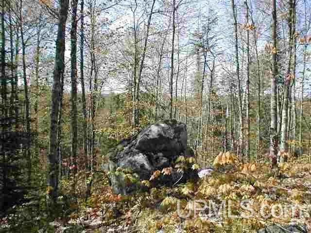 Tbd Off Craig Lake Road Michigamme, MI 49861 - Photo 8 of 23