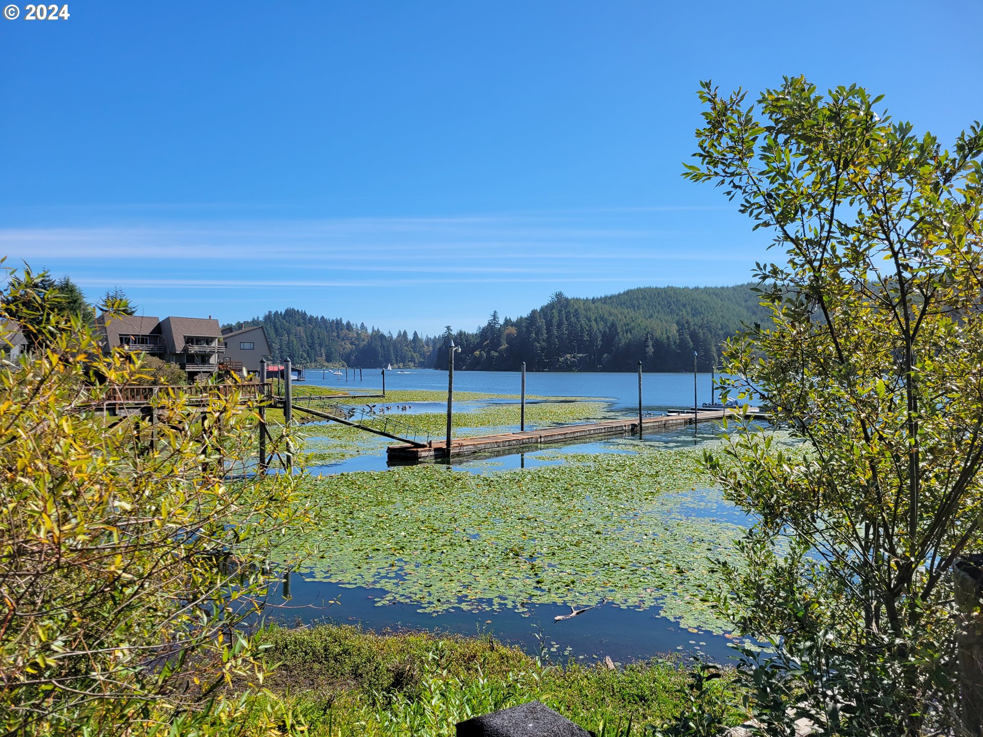 813 Jacobson Way Lakeside, OR 97449 - Photo 5 of 5 a view of an outdoor space and a yard
