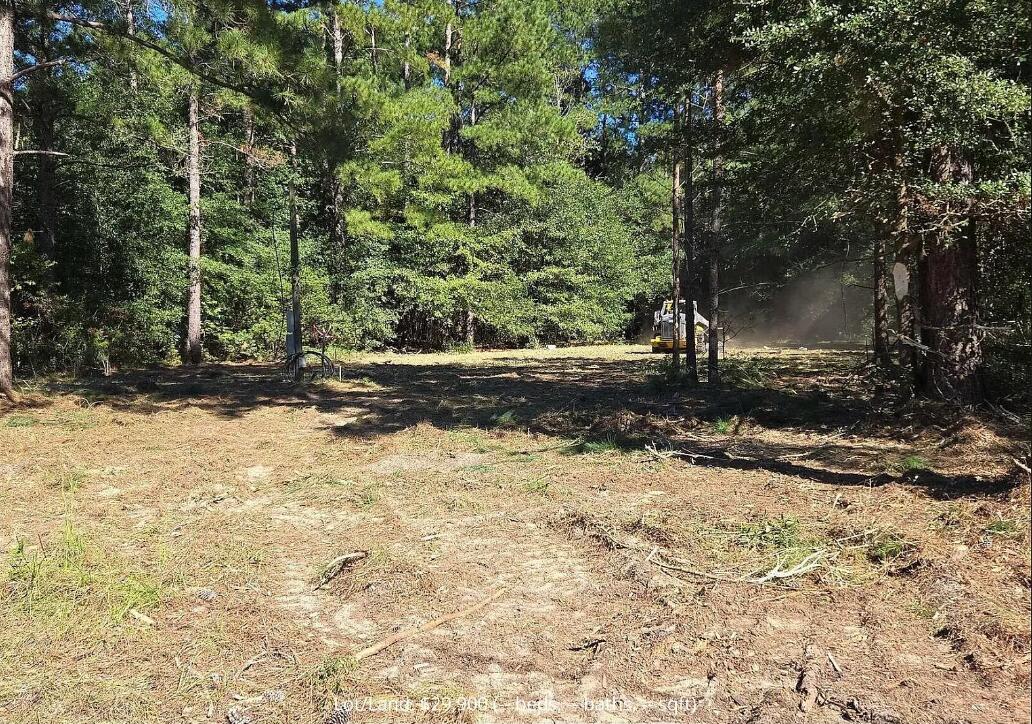 5 P Shad Road Williston, SC 29853 - Photo 1 of 1