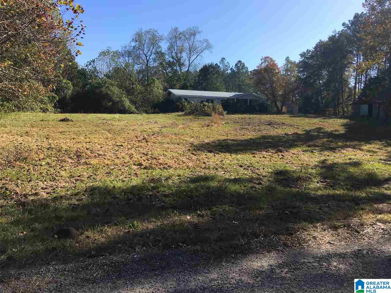 9300 Sunview Road Warrior, AL 35180 - Photo 2 of 3