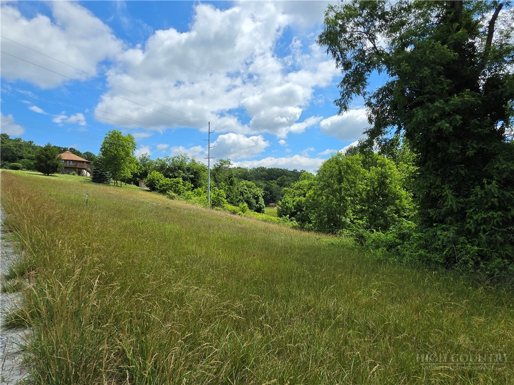 Lot 4 Toms Knob Road, Unit 4 Sparta, NC 28675 - Photo 4 of 5