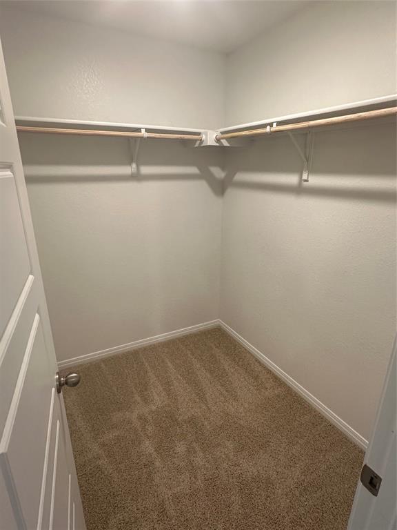 563 Evergreen Sumac Loop Kyle, TX 78640 - Photo 11 of 18 A well-organized walk-in closet with ample space and sturdy shelving for all storage needs.