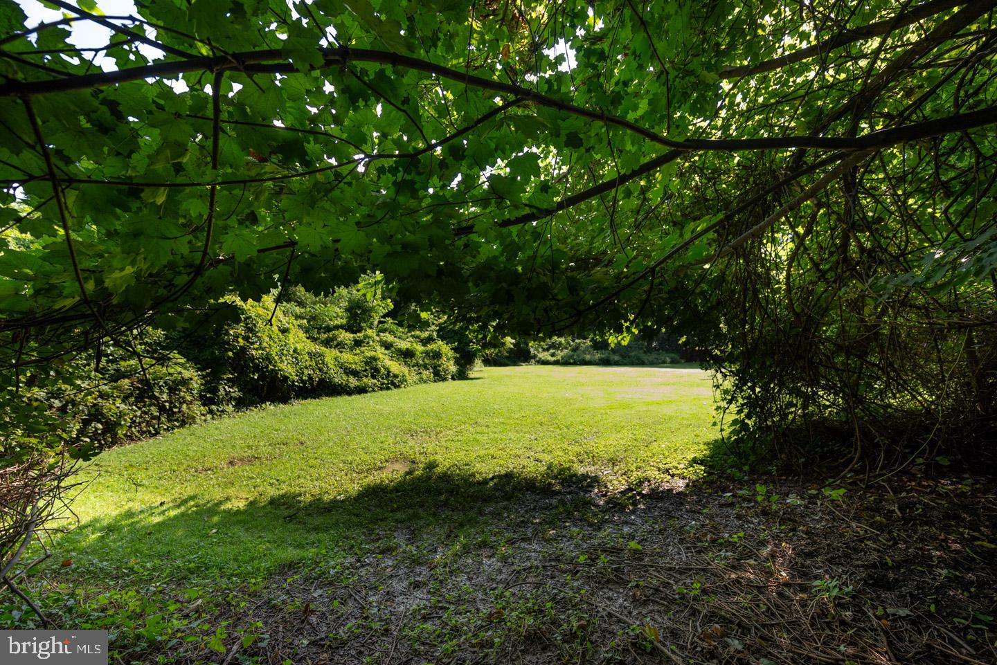 809 Green Lane Secane, PA 19018 - Photo 67 of 79
