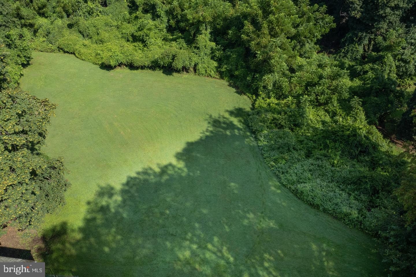 809 Green Lane Secane, PA 19018 - Photo 78 of 79