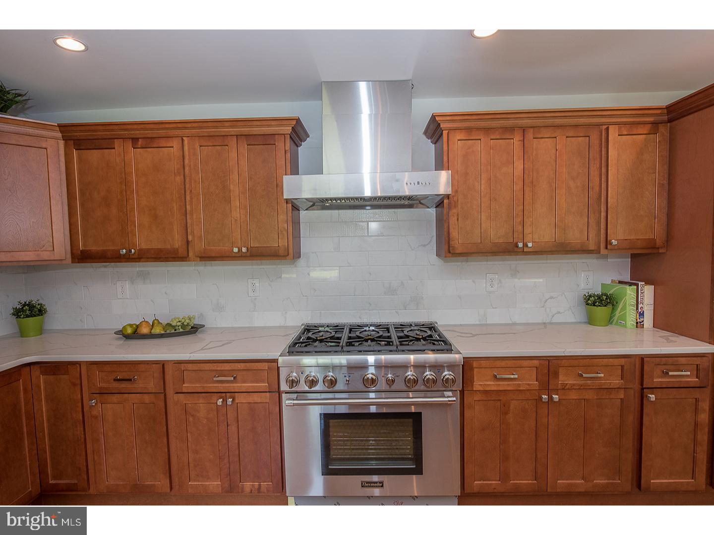 321 Hidden River Road Penn Valley, PA 19072 - Photo 8 of 24 Kitchen