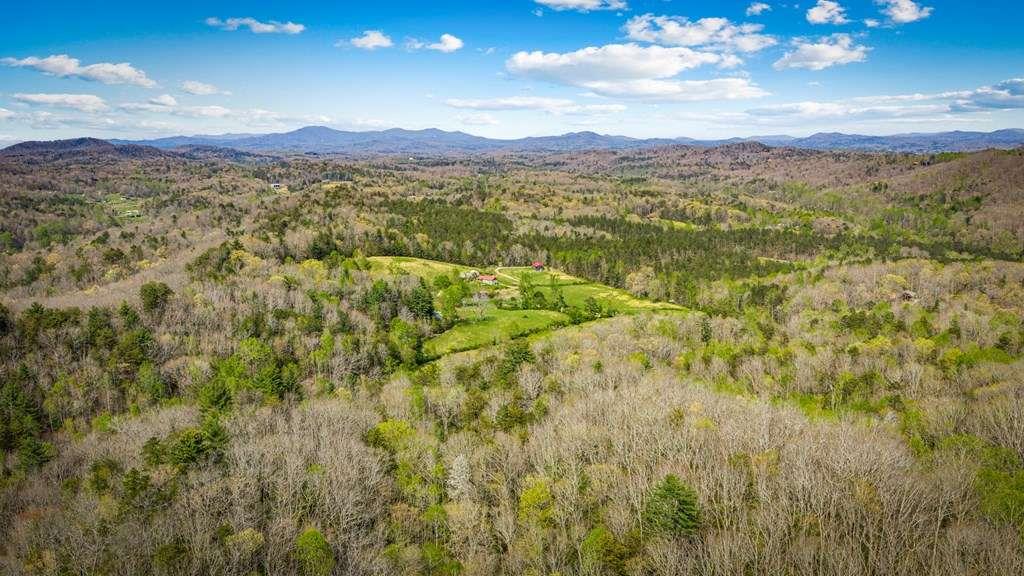 384 Maxwell Road Blue Ridge, GA 30513 - Photo 68 of 68 a view of a city with mountains in the background