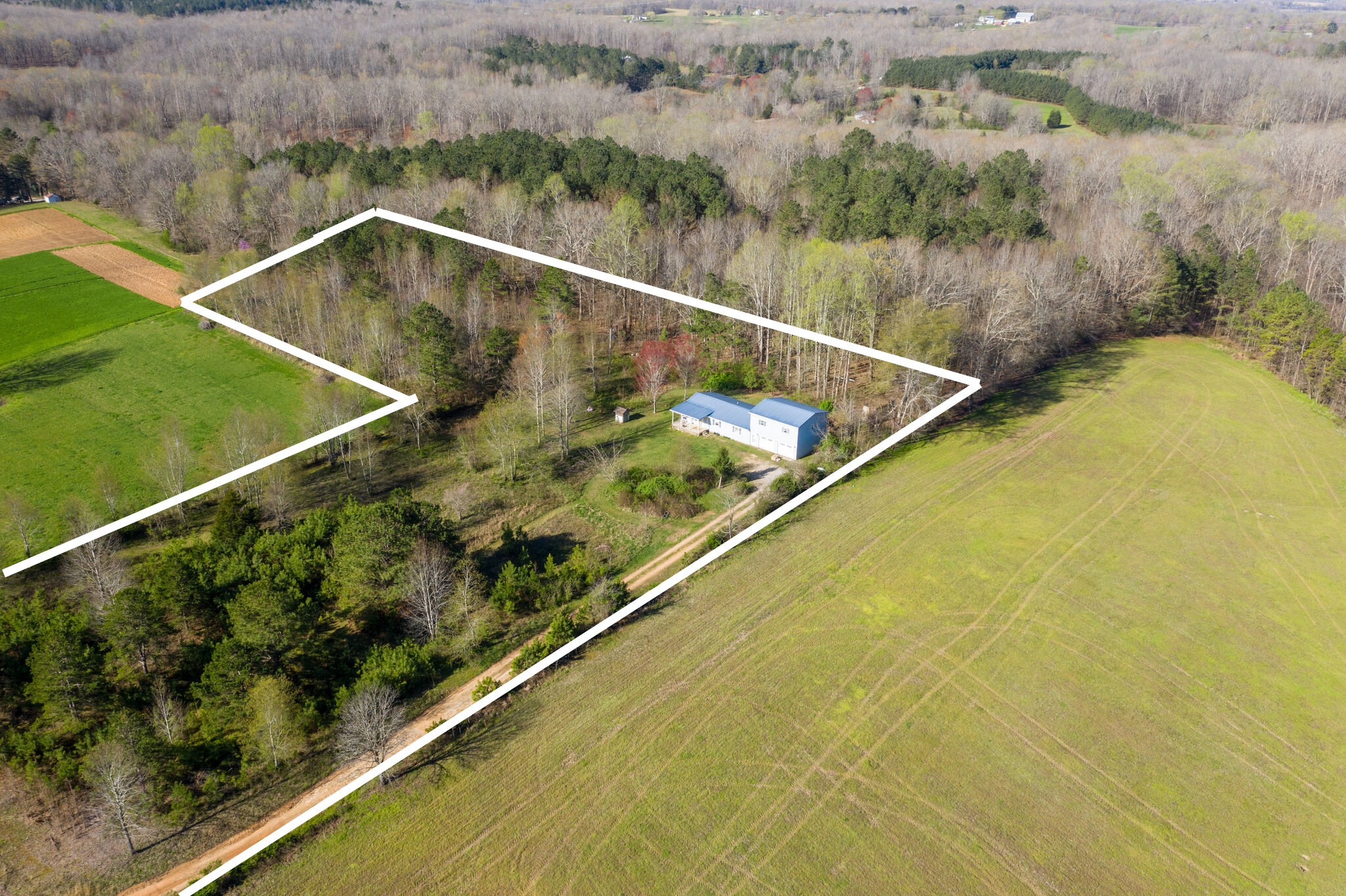3676 Buffalo Road Summertown, TN 38483 - Photo 3 of 30 Gallery Image 3