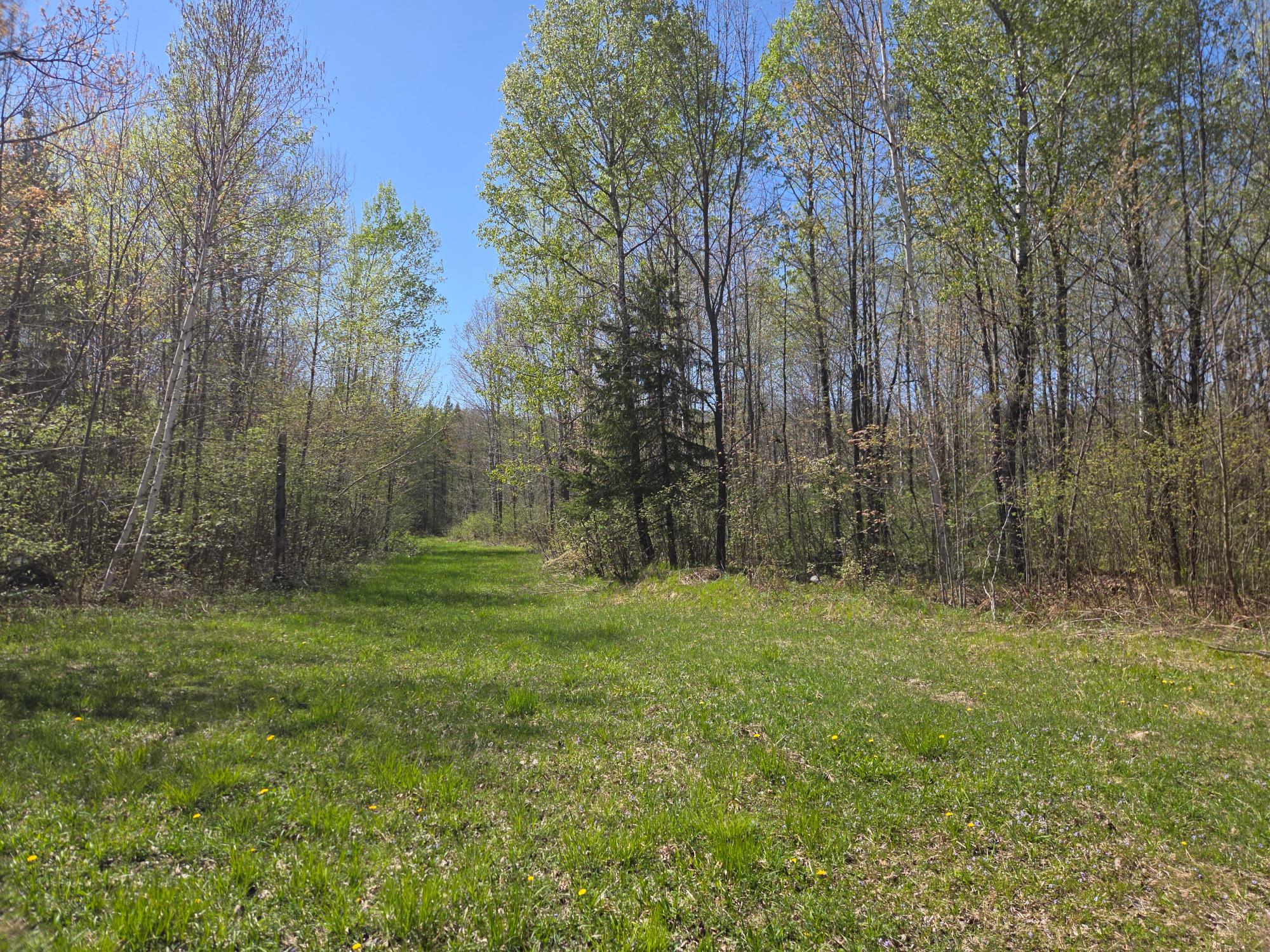Off Hay Creek Road, Unit 820ACRES Prentice, WI 54556 - Photo 19 of 43 Gallery Image 19