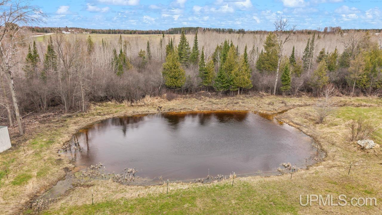 6230 East 5th Road Bark River, MI 49807 - Photo 38 of 48