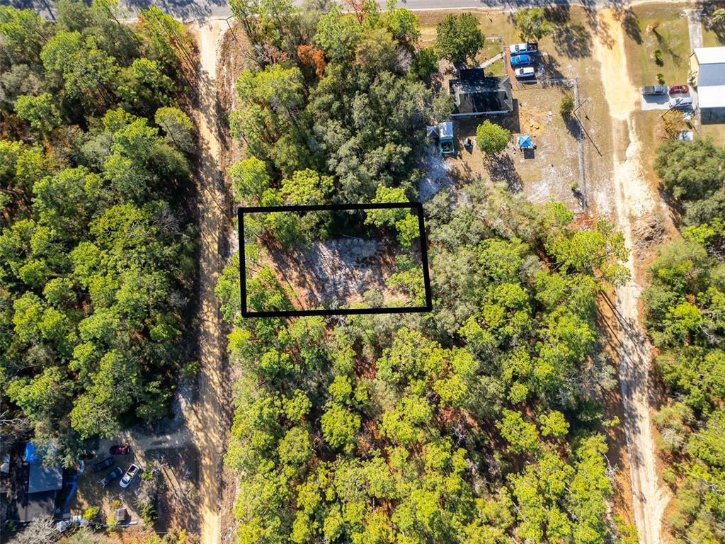 331 Quail Hollow Road Satsuma, FL 32189 - Photo 2 of 8 Gallery Image 2