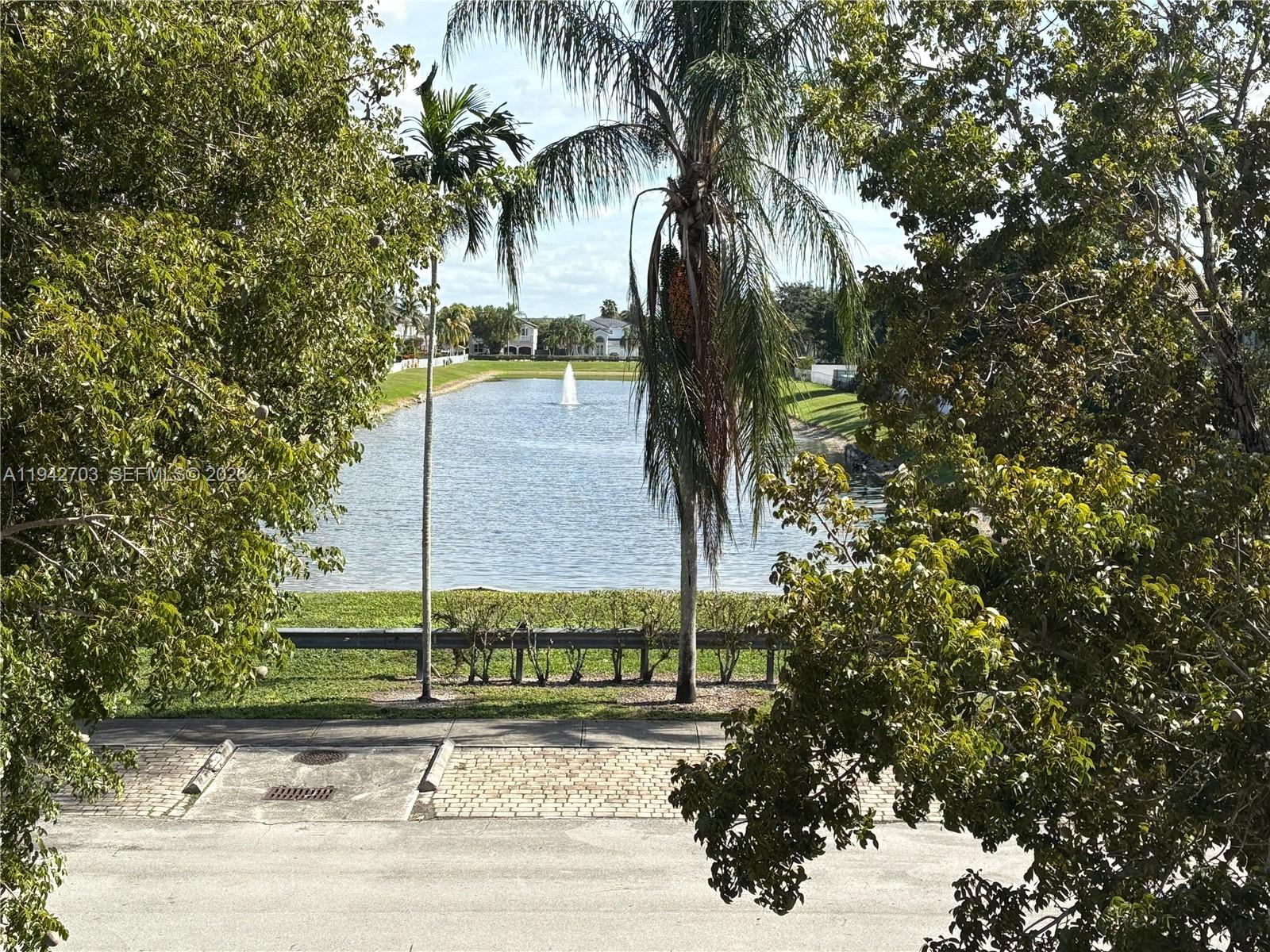 5902 Southwest 166th Court Miami, FL 33193 - Photo 27 of 27 a view of a palm tree next to a yard