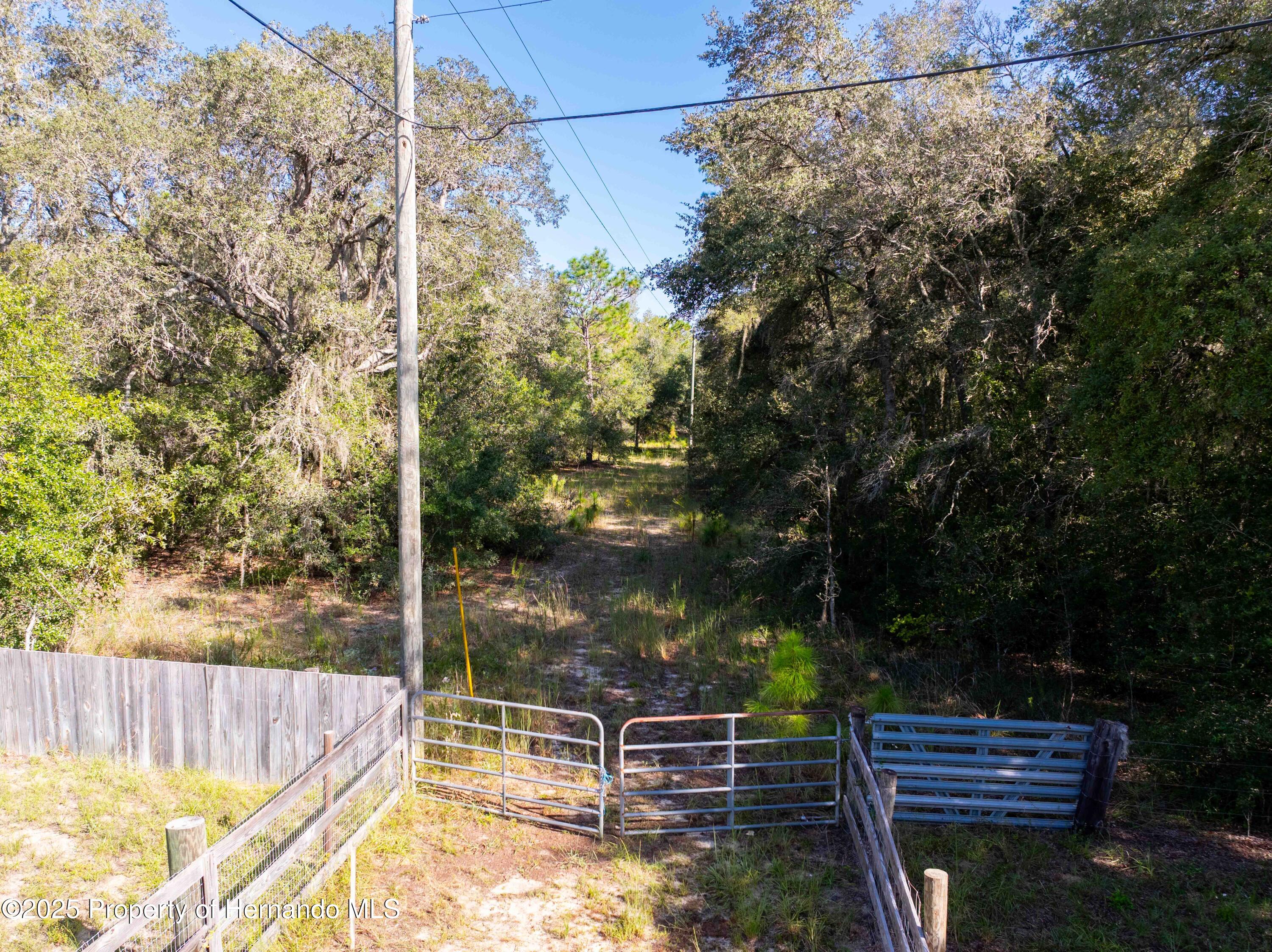 0 Cart Path Brooksville, FL 34602 - Photo 9 of 12