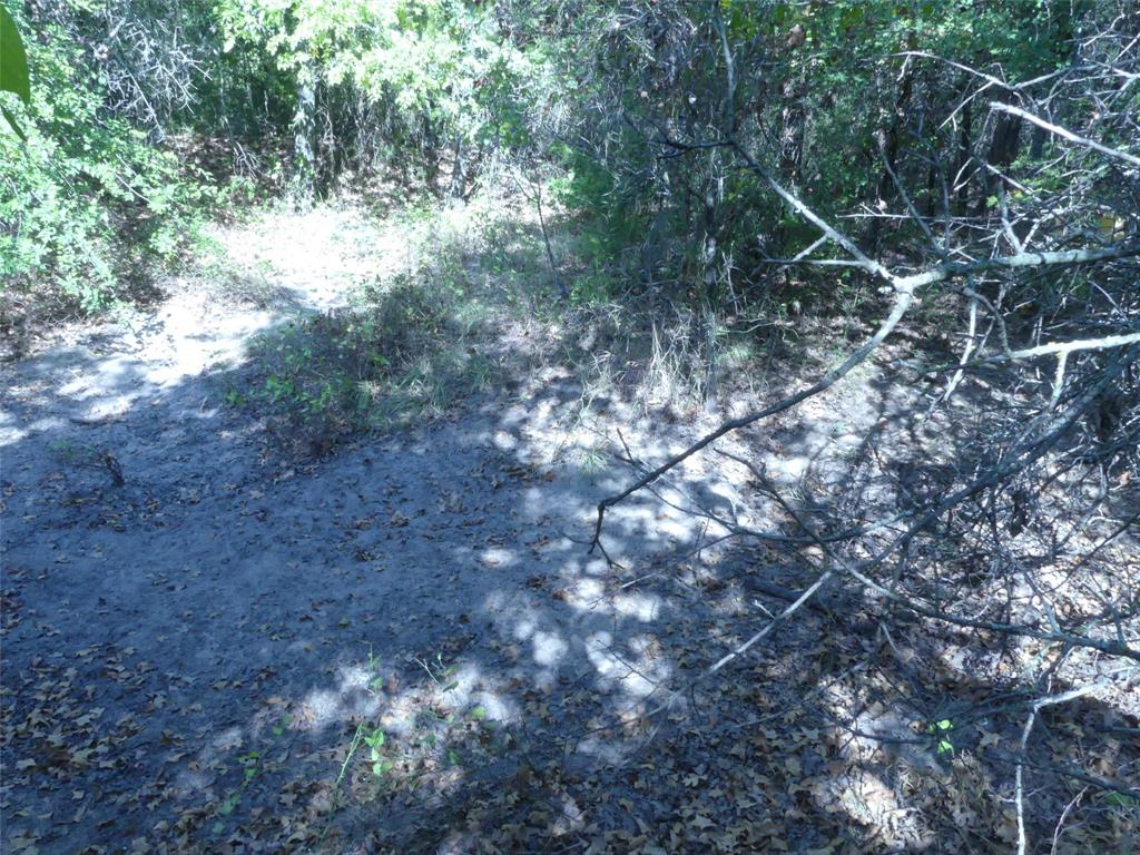 1746 Dog Kennel Road Sunset, TX 76270 - Photo 20 of 31 Gallery Image 20