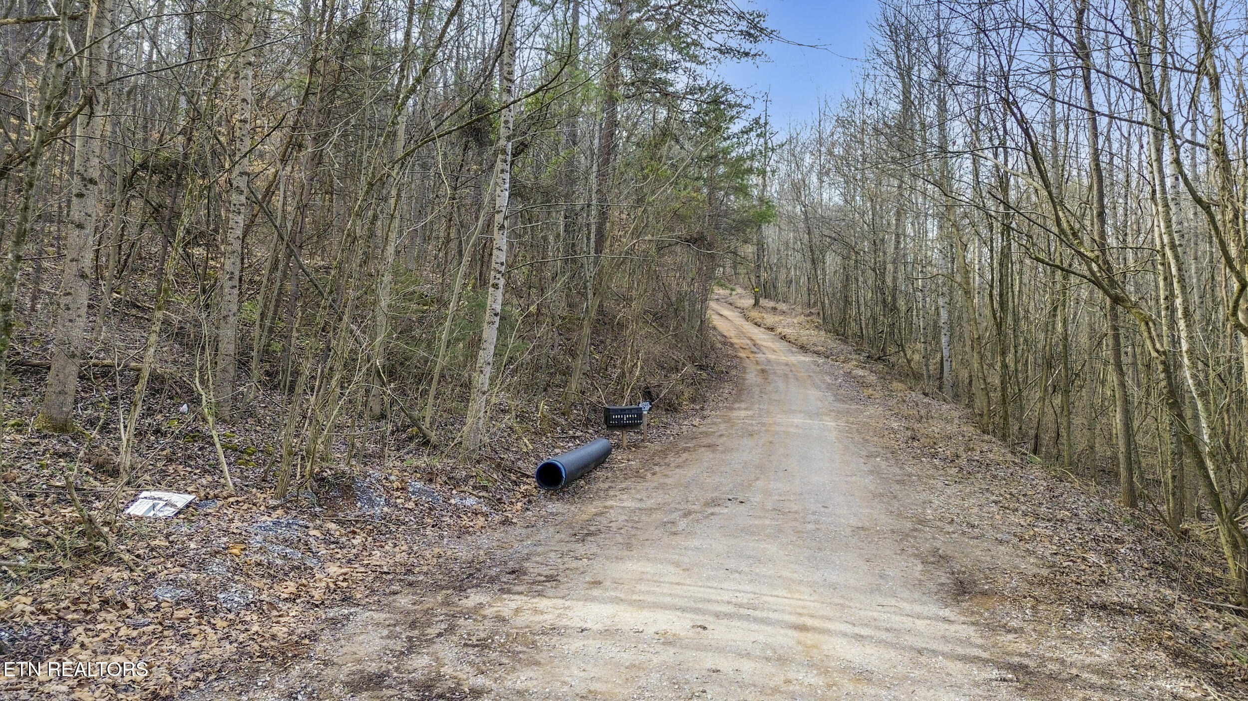 7 Owl Hole Gap Road Rutledge, TN 37861 - Photo 4 of 22 15_dji_0087_1