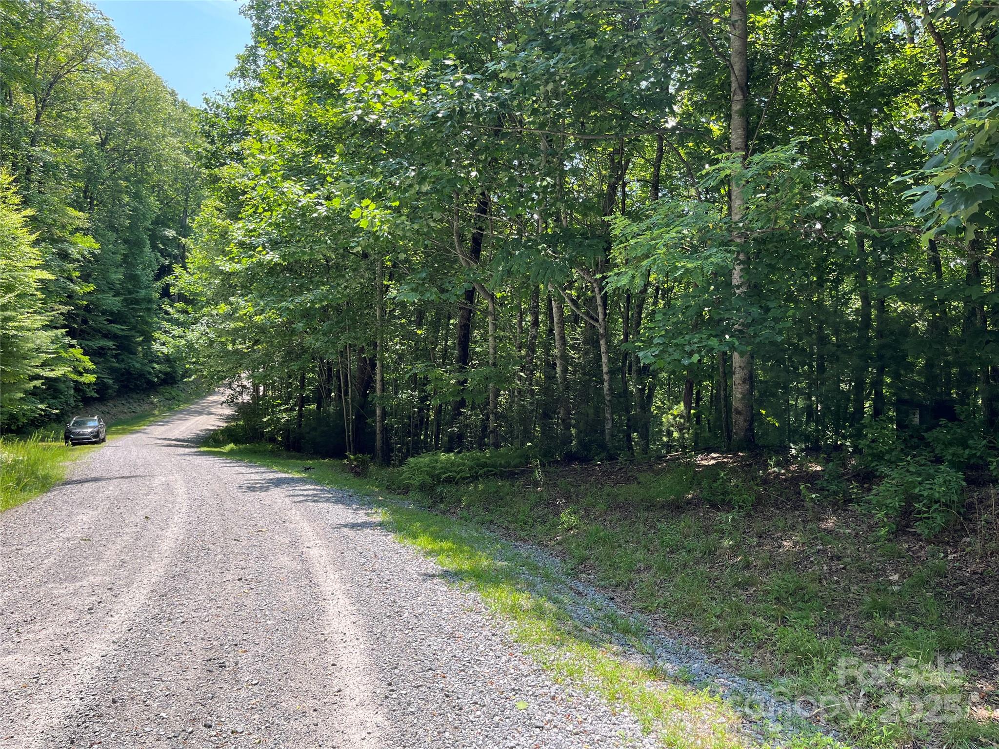 57 Big Branch Road Brevard, NC 28712 - Photo 11 of 20 a view of a backyard with trees