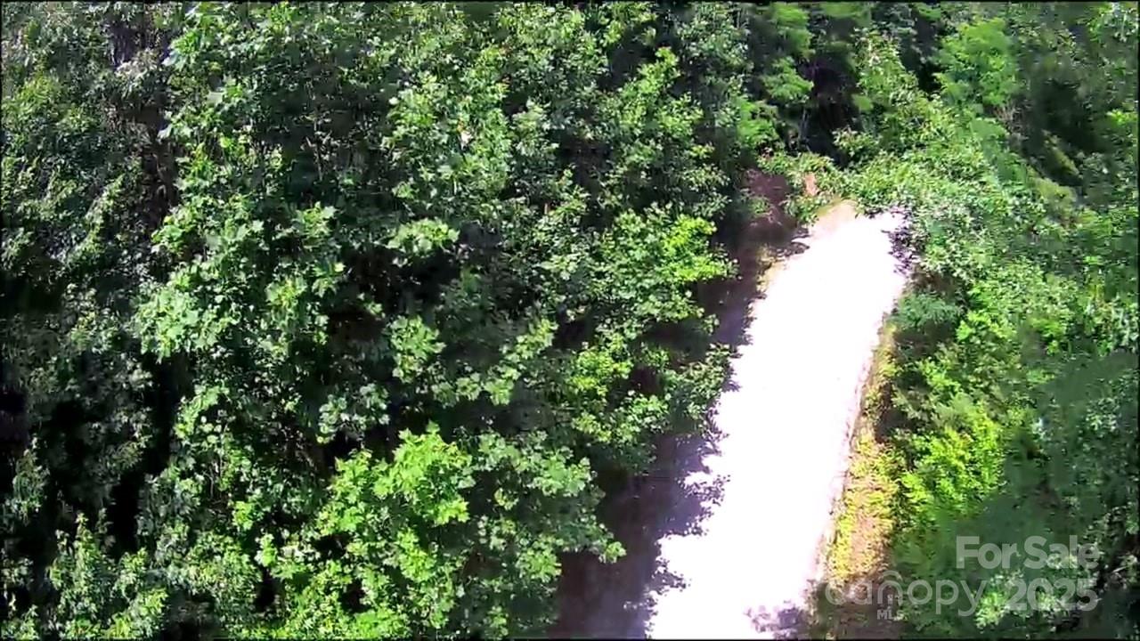 57 Big Branch Road Brevard, NC 28712 - Photo 13 of 20 a view of a lush green forest
