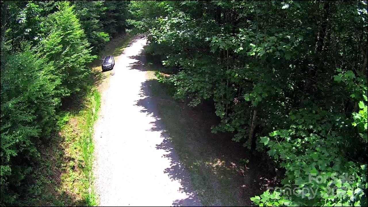 57 Big Branch Road Brevard, NC 28712 - Photo 14 of 20