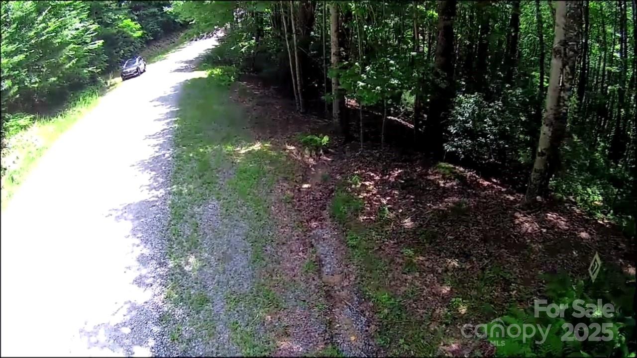 57 Big Branch Road Brevard, NC 28712 - Photo 15 of 20 a view of a yard with plants and large trees