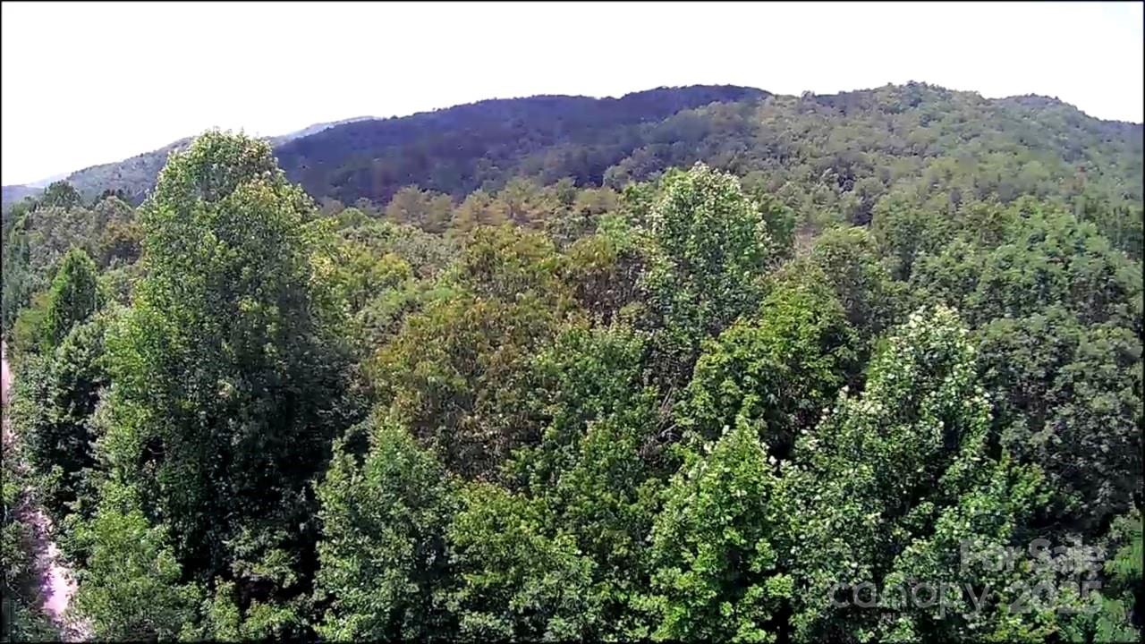 57 Big Branch Road Brevard, NC 28712 - Photo 16 of 20 a view of a lush green forest with trees in the background