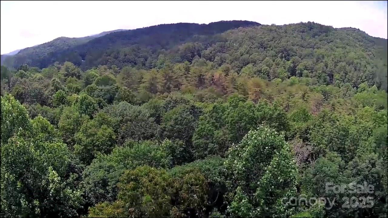 57 Big Branch Road Brevard, NC 28712 - Photo 18 of 20 a view of a lush green hillside and a houses