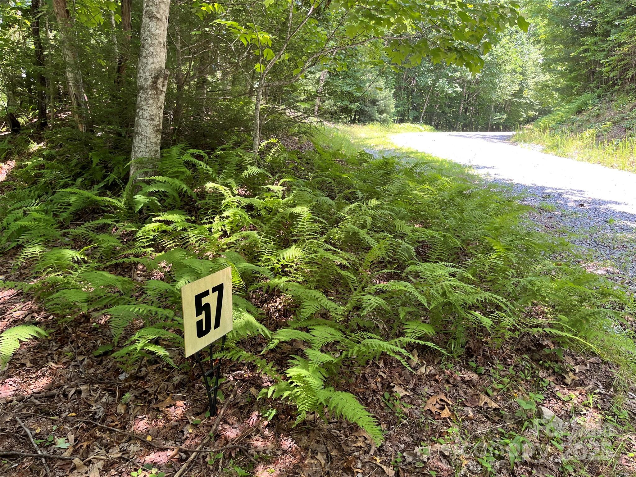 57 Big Branch Road Brevard, NC 28712 - Photo 3 of 20 a view of a yard with plants and trees