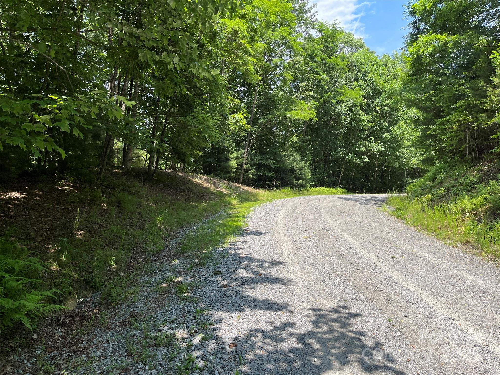 57 Big Branch Road Brevard, NC 28712 - Photo 9 of 20 a view of a street view with a yard