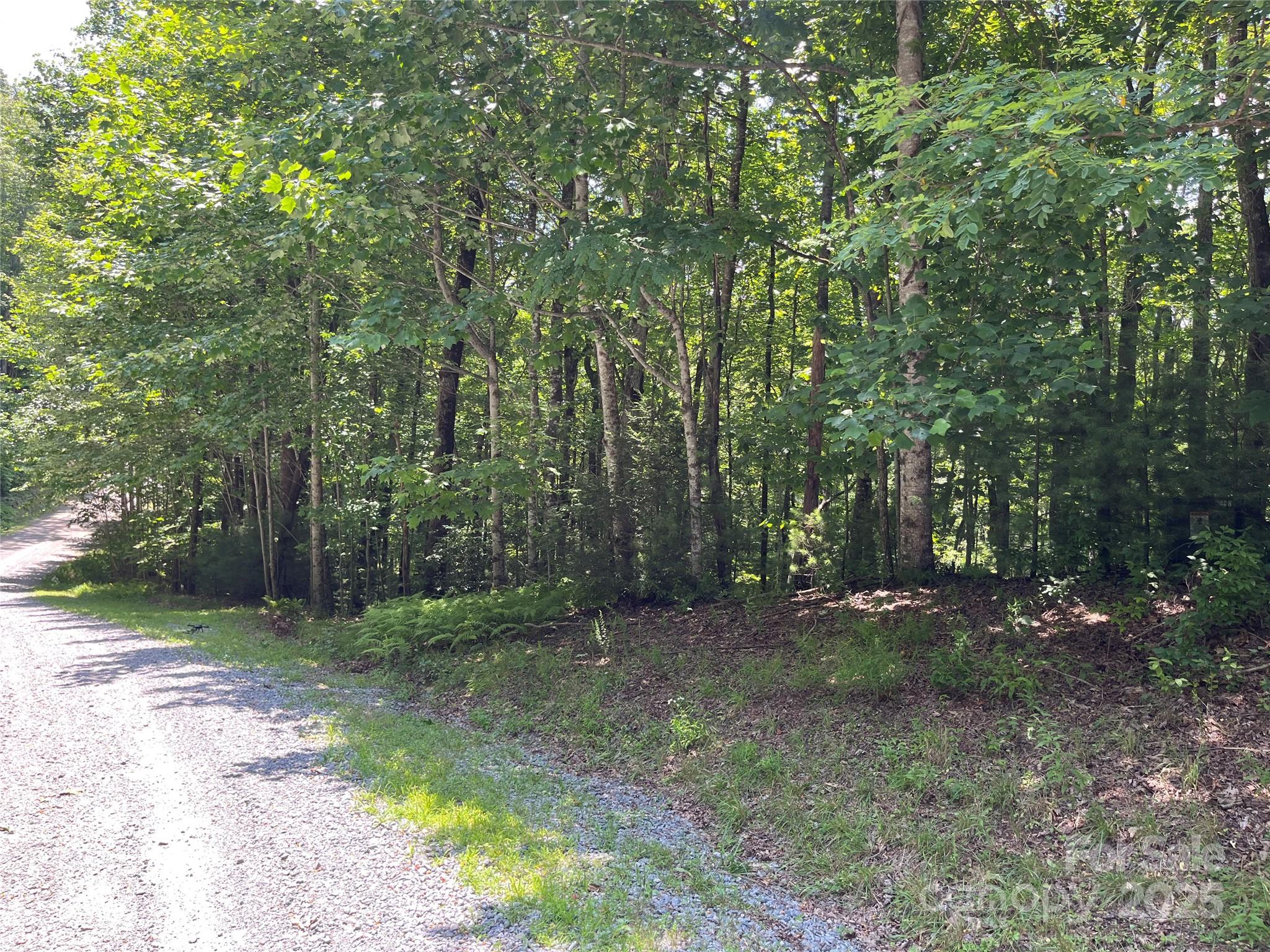 57 Big Branch Road Brevard, NC 28712 - Photo 10 of 20 a view of a forest with trees in the background