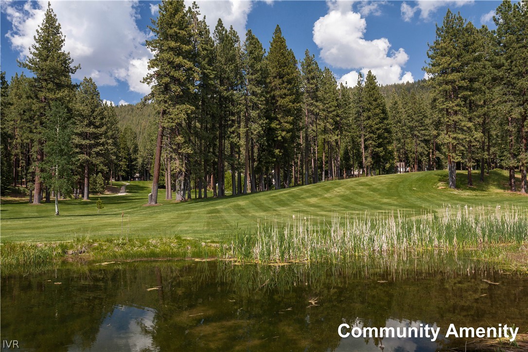 2147 The Back Road Glenbrook, NV 89413 - Photo 28 of 36 Glenbrook Golf Course