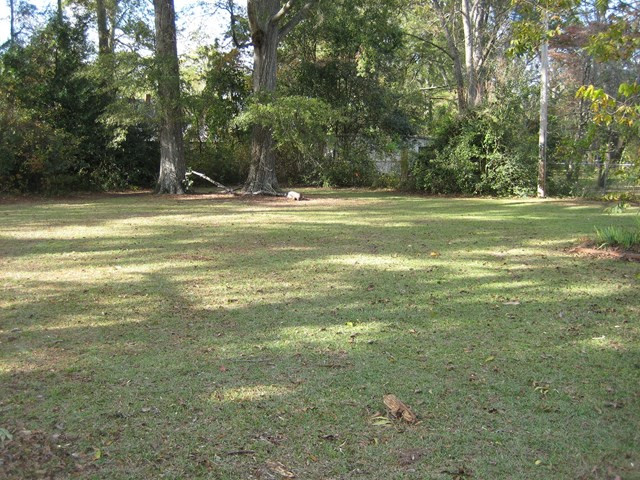 1000 West Main Street Ridge Spring, SC 29129 - Photo 3 of 9